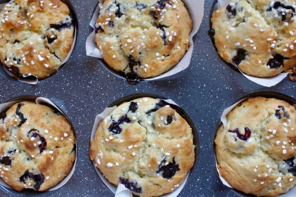 Blueberry Muffin Recipe Made With Yogurt